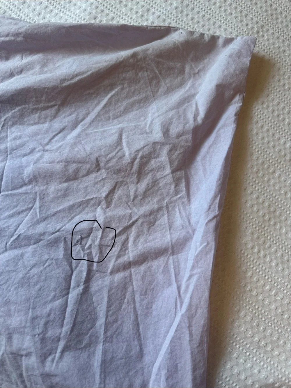 Pottery Barn Kids Lilac Gingham reversible Duvet only